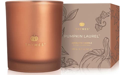 Thymes Pumpkin Laurel Frosted Glass Candle In Copper