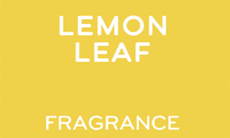 Shop Pura X Thymes Frasier Fir 2-pack Diffuser Fragrance Refills In Yellow