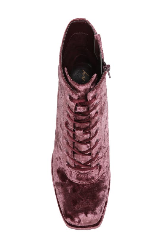 Circus Ny Kia Block Heel Bootie In Red Currant