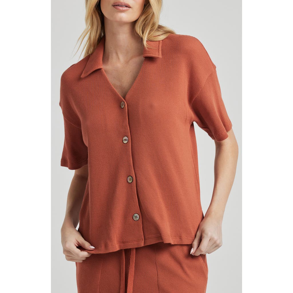 LOSANO LOSANO ORGANIC COTTON BUTTON DOWN SHIRT
