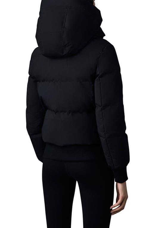 Shop Mackage Nefi Water Repellent 800 Fill Power Down Insulated Bomber Jacket With Removable Hooded Bib In Black