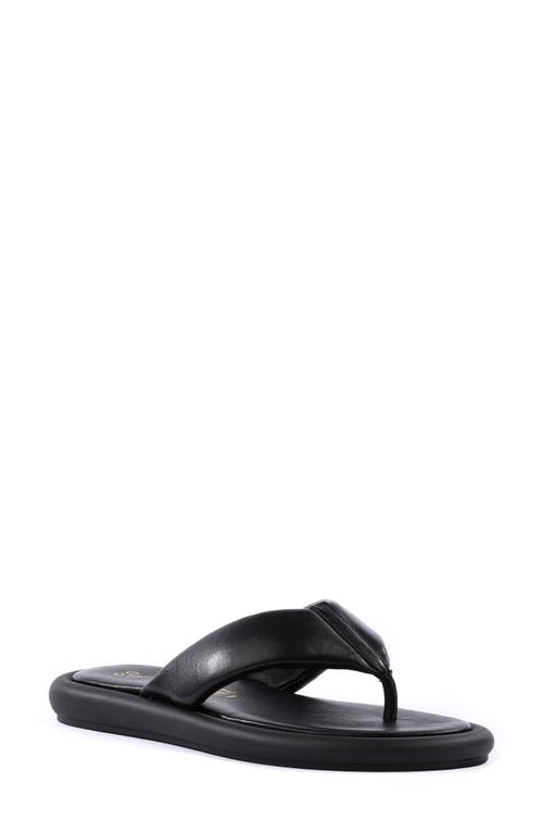 Seychelles Fun Fact Flip Flop in Black at Nordstrom, Size 6