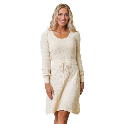 Hope & Henry Organic Balloon Sleeve Sweater Dress In Oatmeal Heather Chevron