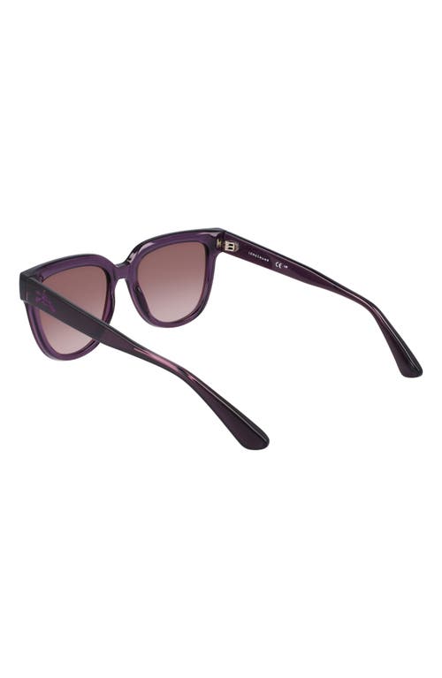 Longchamp Le Pliage 52mm Round Sunglasses In Transparent Plum