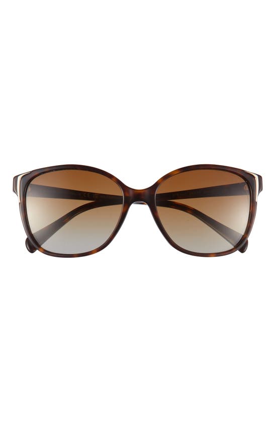 Prada 55mm Cat Eye Sunglasses In Havana/ Brown Gradient