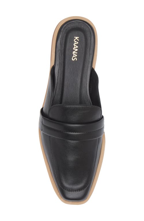 Shop Kaanas Square Toe Mule In Black