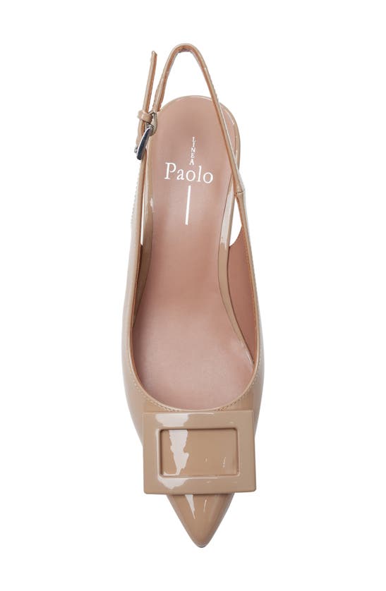 Shop Linea Paolo Vista Slingback Pointed Toe Wedge Pump In Maple Sugar