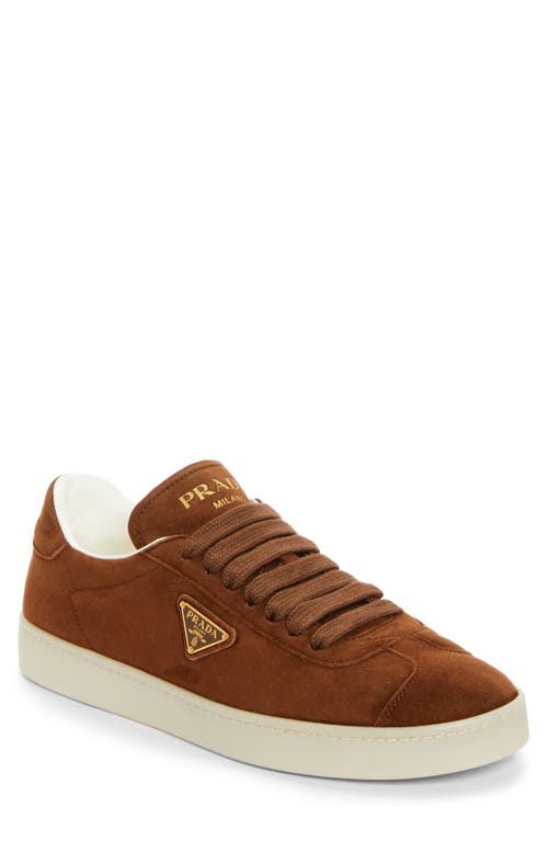 Prada Lane Triangle Logo Low Top Sneaker In Rovere