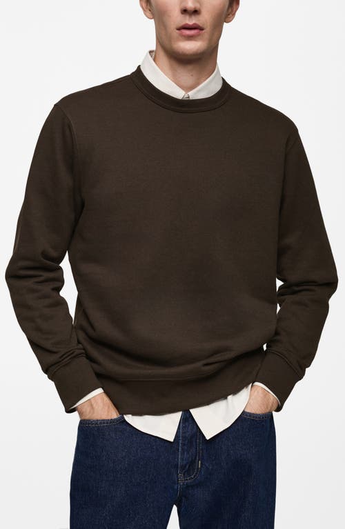 Shop Mango Cotton Blend Sweatshirt In Chocolate