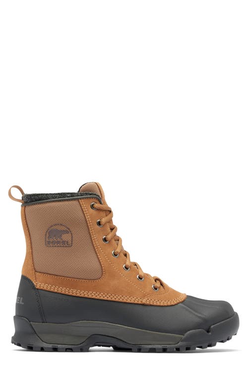 Shop Sorel Buxton Lite Waterproof Boot In Elk/black