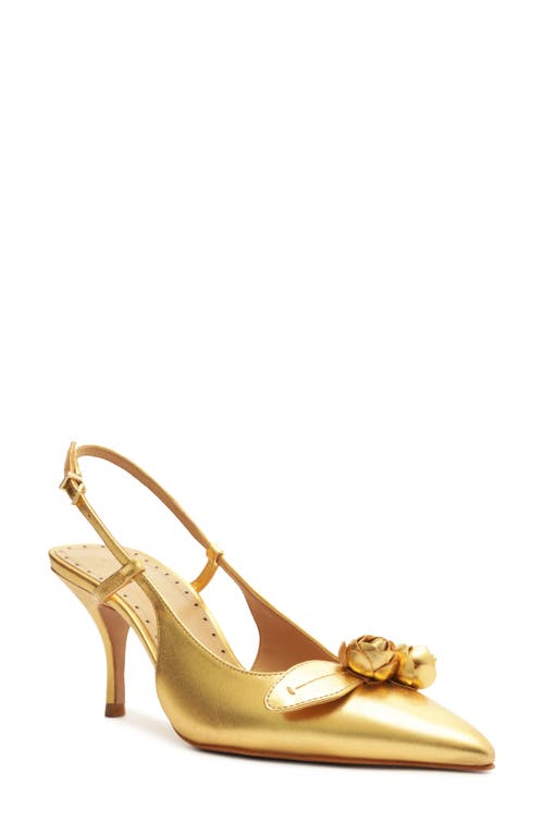 Schutz Alma Pointed Toe Slingback Pump In Ouro