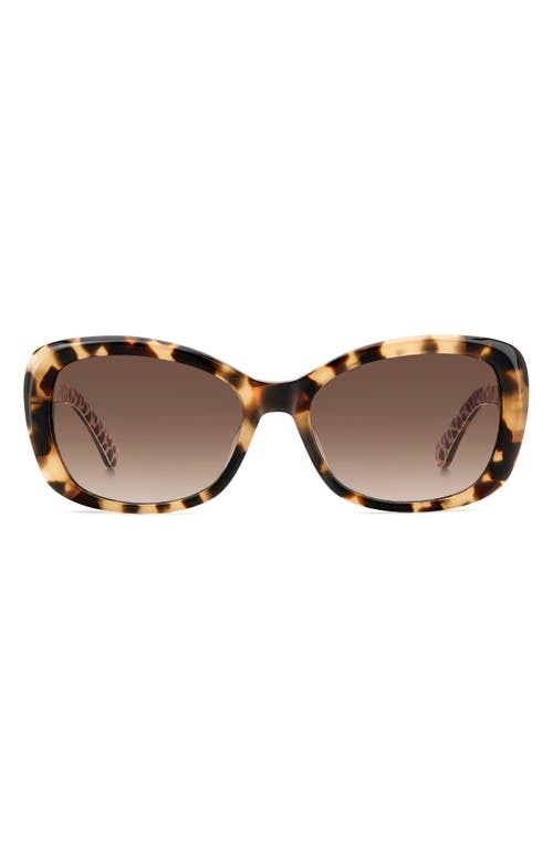 Kate Spade New York Elowen 55mm Gradient Round Sunglasses In Beige/brown Gradient