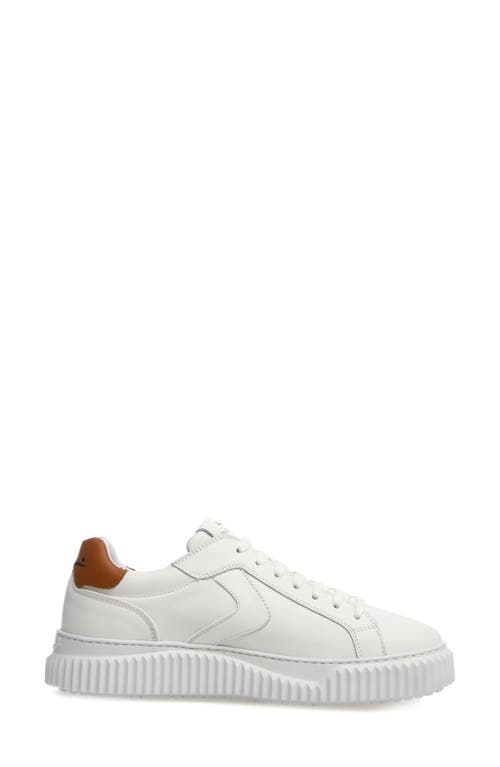 Shop Voile Blanche Lipari Sneaker In White/tobacco