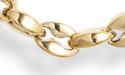 Jenny Bird Dhani Chain Necklace In High Polish Gold