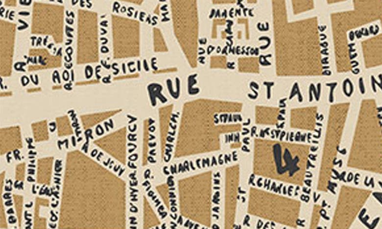 Deny Designs Paris Map Rustic Framed Art Print In Cream
