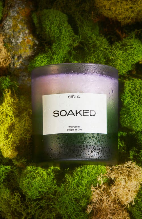 Sidia Soaked Candle No Color In Soaked