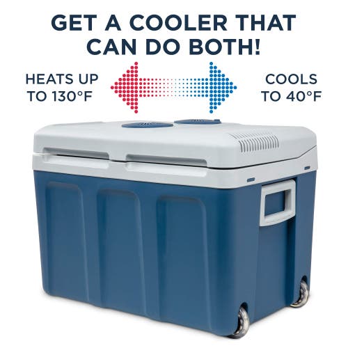 Shop Ivation Electric Cooler & Warmer In Blue