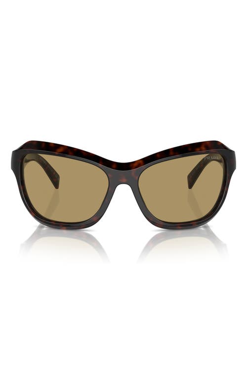 PRADA PRADA 62MM OVERSIZE BUTTERFLY SUNGLASSES