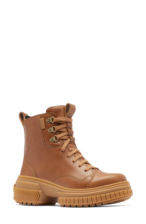 Sorel Ona Ave Lace Boots Velvet Tan/gum 2 In Velvet Tan/gum