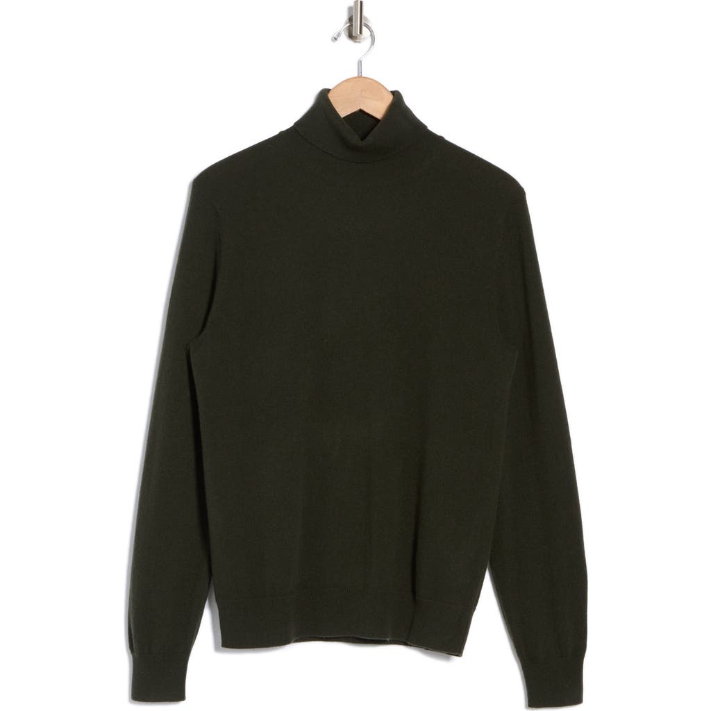 Amicale Turtleneck Cashmere Sweater In Olive