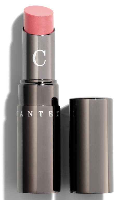 Chantecaille Lip Chic Lip Color in Camellia at Nordstrom