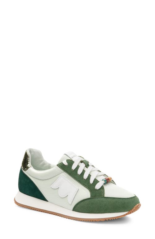 Birdies Roadrunner Sneaker in Pistachio Multi Nylon at Nordstrom, Size 5.5