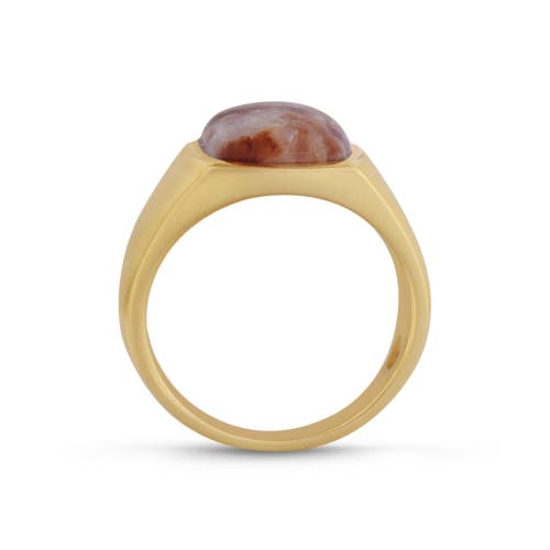 Luvmyjewelry Red Lace Agate Iconic Sterling Silver Men Signet Ring In 14kt Gold Vermeil On Sterling