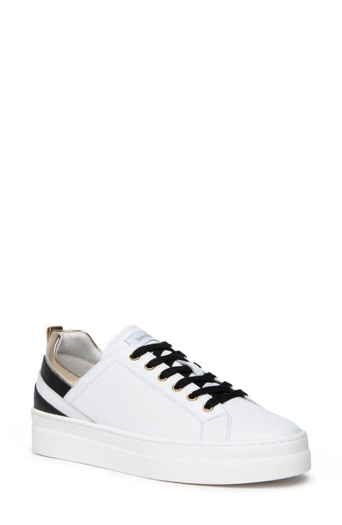 NeroGiardini Stripe Platform Sneaker in White 