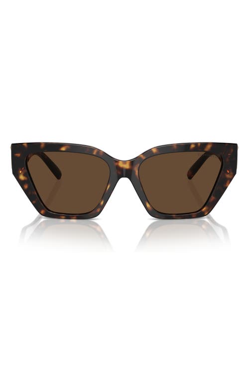 Tiffany & Co. 55mm Cat Eye Sunglasses in Havana at Nordstrom