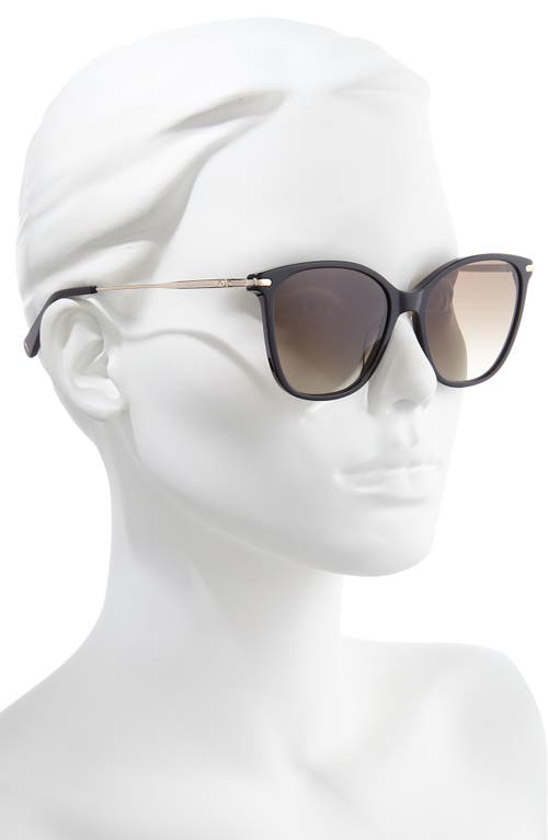 Shop Longchamp 54mm Gradient Cat Eye Sunglasses In Black/khaki Gradient