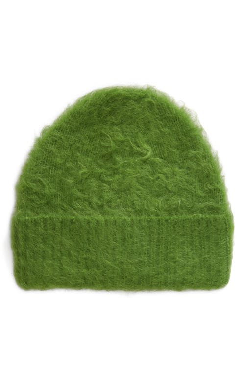 Acne Studios Kameo Cuffed Beanie in Pear Green at Nordstrom