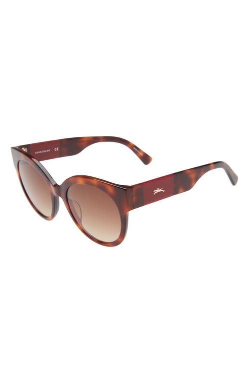 Longchamp 53mm Gradient Round Sunglasses In Havana/brown Gradient