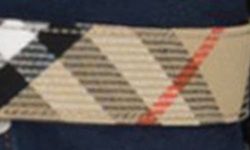 Burberry Check B-line Belt In Sand Ip Check