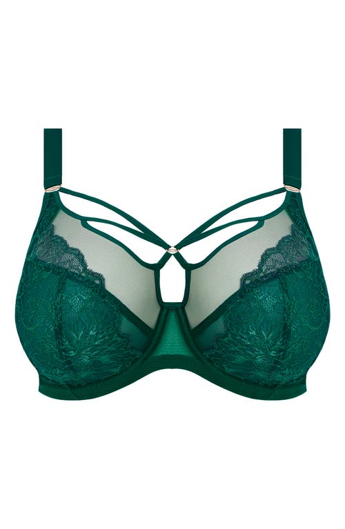 Shop Elomi Brianna Underwire Strappy Plunge Bra In Rainforest