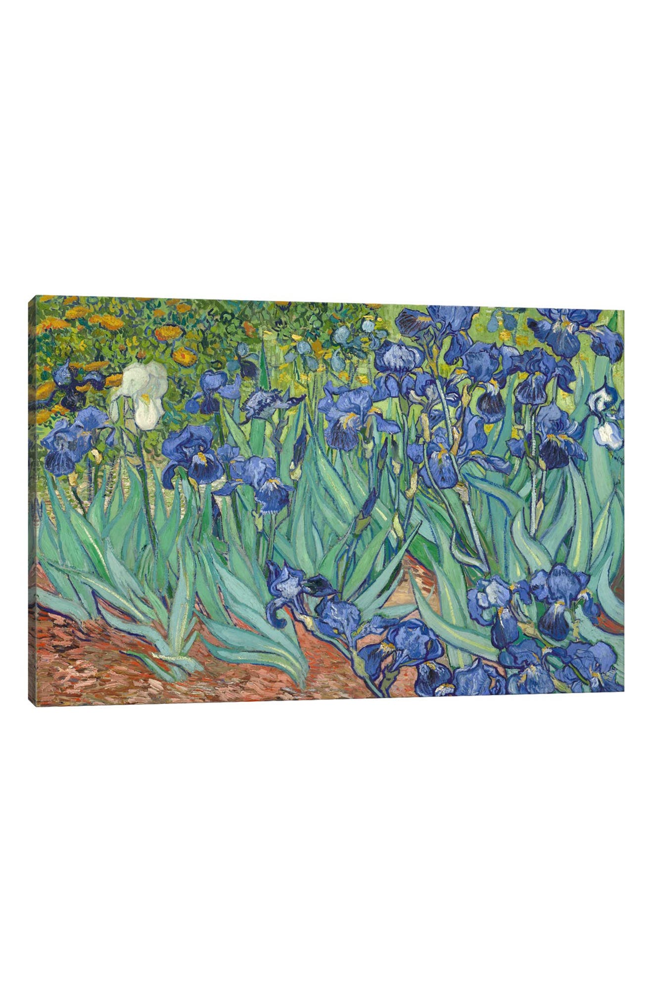 Icanvas Irises, 1889 By Vincent Van Gogh Canvas Wall Art In Blue | ModeSens