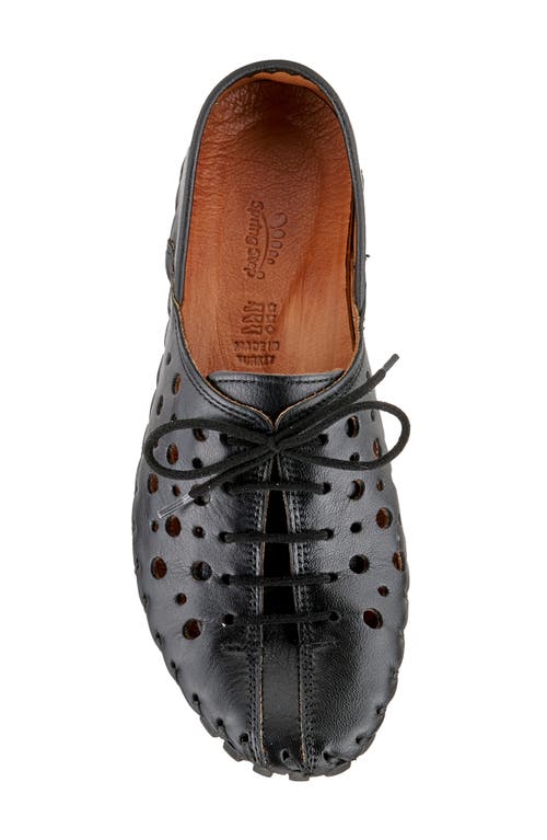 Spring Step Moonwalk Lace-up Shoe In Black