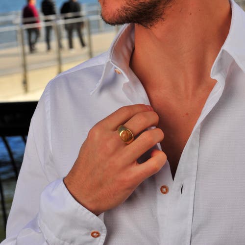 Luvmyjewelry Wood Jasper Iconic Sterling Silver Men Signet Ring In 14kt Gold Vermeil On Sterling