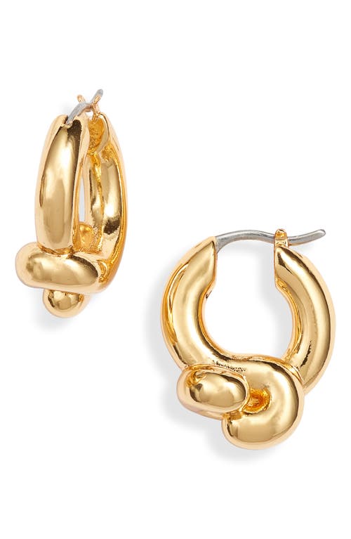 Maeve Knotted Hoop Earrings in High Polish Gold