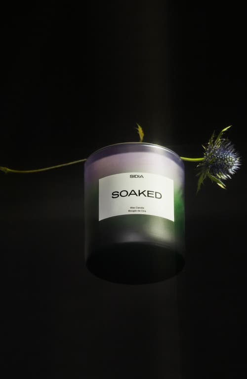 Sidia Soaked Candle No Color In Soaked