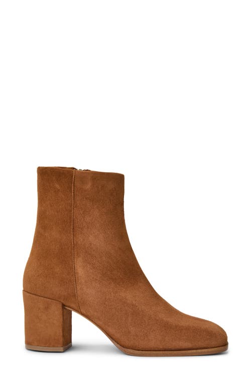 Shop Bruno Magli Fenice Bootie In Cognac Suede