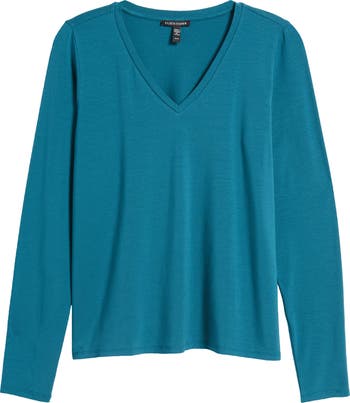 Long Sleeve V-Neck Top