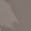 selected Grey Patent color