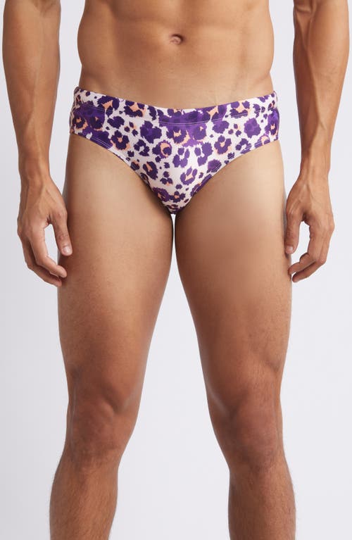 Cheetah Swim Briefs in Purple Multi