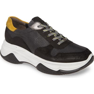 Paul Green Blend Lace-Up Sneaker - Black
