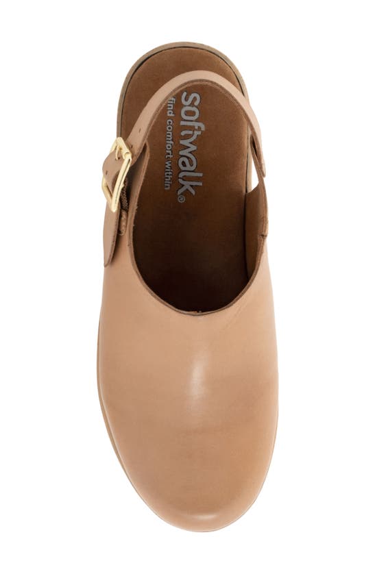 Shop Softwalk Fairbanks Slingback Platform Clog In Tan