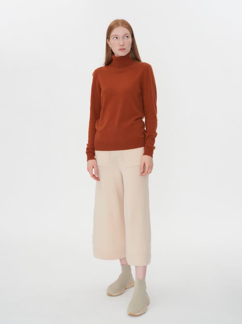 Shop Gobi Cashmere Classic Turtle Neck In Sugar Almond