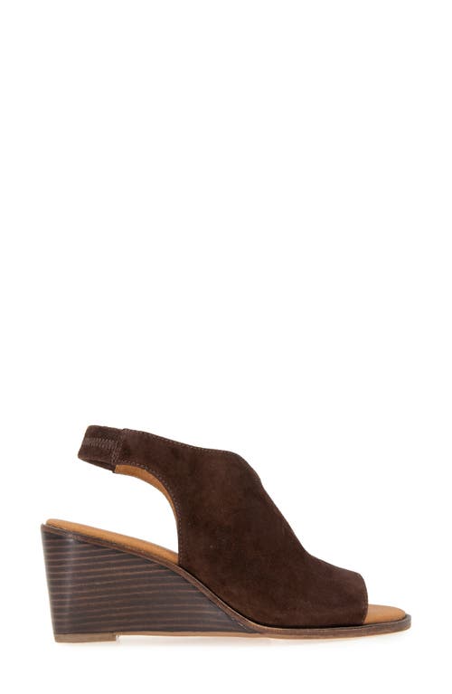 Shop Andre Assous André Assous Belinda Wedge Slingback Sandal In Cocoa Powder