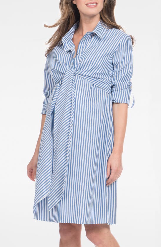 Seraphine Stripe Long Sleeve Maternity/nursing Shirtdress In Blue Stripe