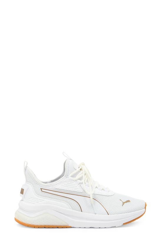 Shop Puma Amplifier Sneaker In White- Gold