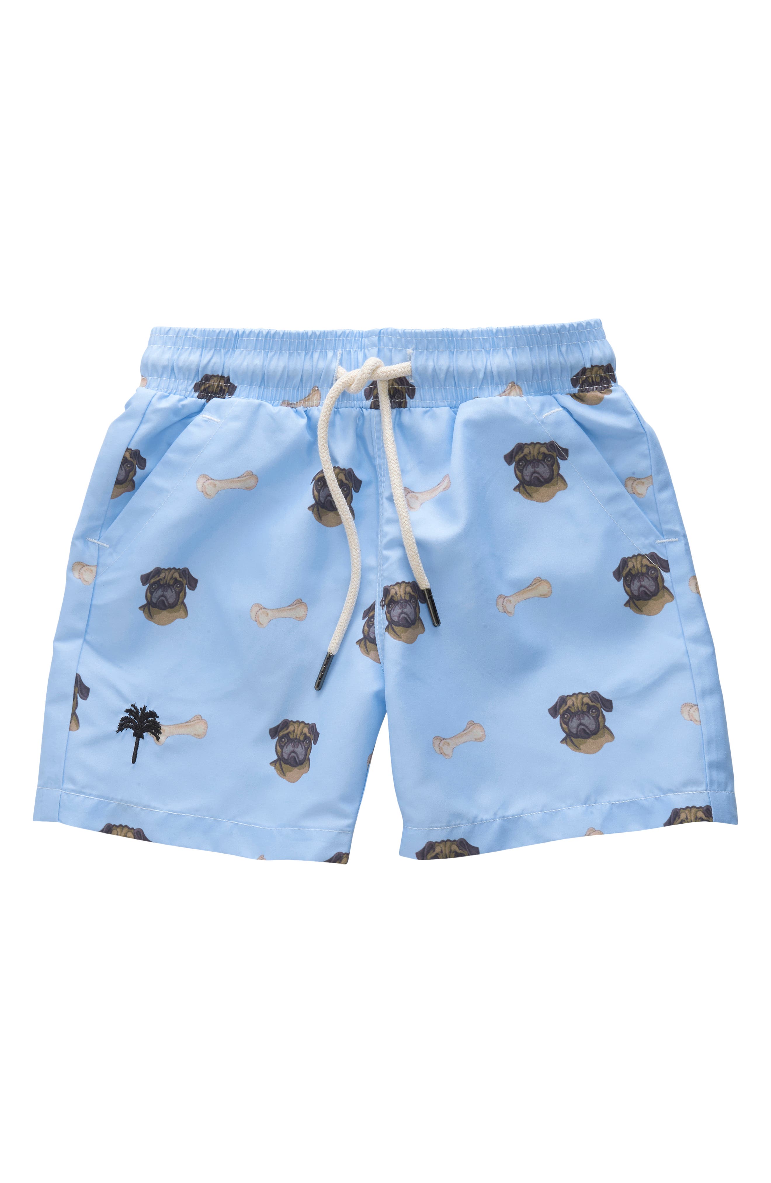 pug in a bathing suit